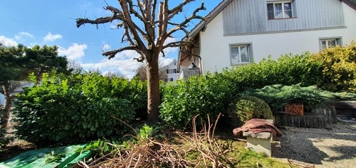 Gartenpflege Frauenfeld - Impressionen unserer Arbeit