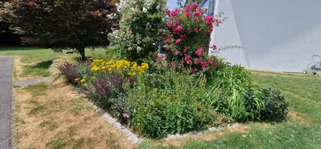 Gartenpflege Frauenfeld - Impressionen unserer Arbeit
